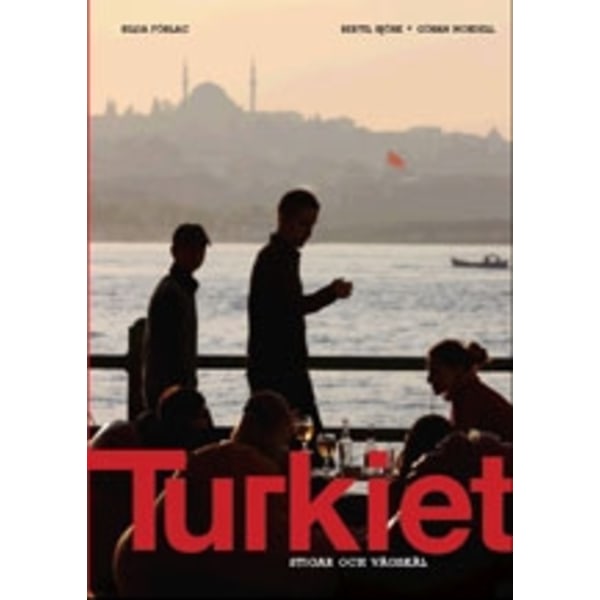 Turkiet : stigar och vägskäl 9789157480903
