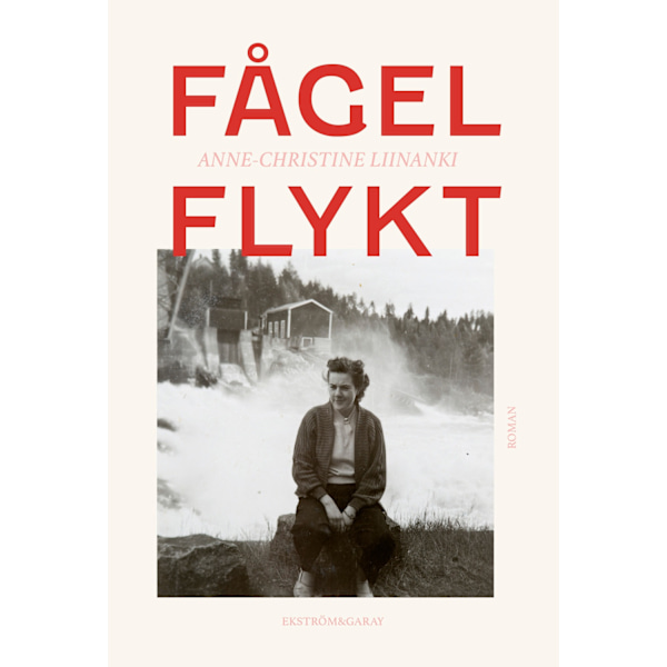 Fågelflykt 9789189397118