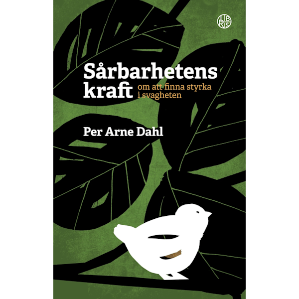 Sårbarhetens kraft 9789173878401