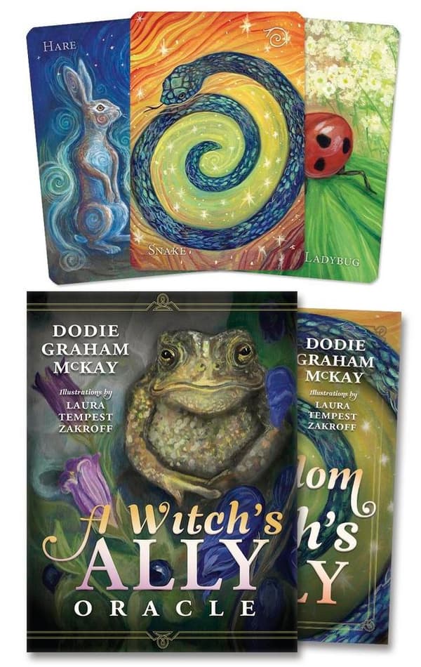 A Witch's Ally Oracle 9780738779980
