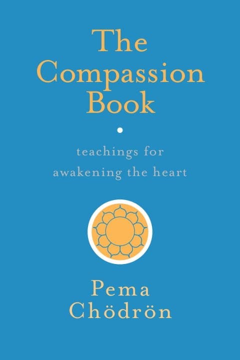 Compassion book 9781611804201