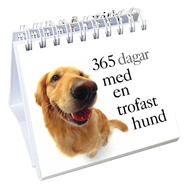 365 dagar med en trofast hund 9789179852627