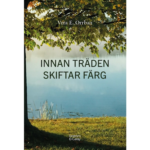 Innan träden skiftar färg 9789189796959