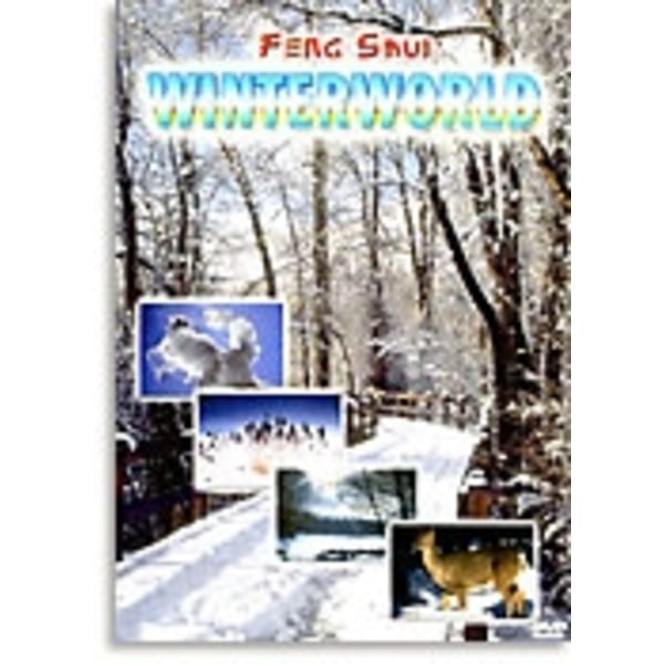 Feng Shui - Winterworld (DVD) 7619943186110