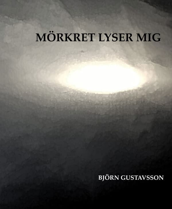 Mörkret lyser mig 9789187285257