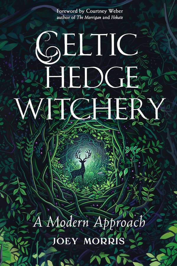 Celtic Hedge Witchery—A Modern Approach 9781578638673