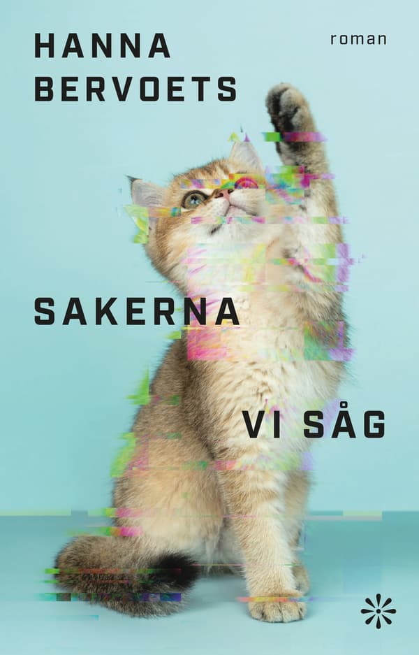 Sakerna vi såg 9789179652777