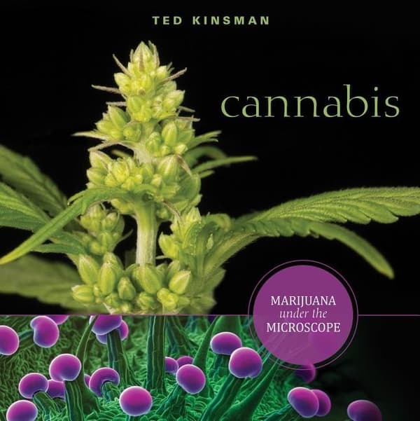 Cannabis - marijuana under the microscope 9780764355059