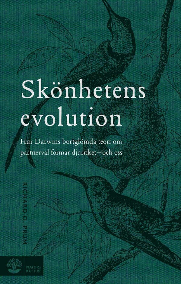 Skönhetens evolution 9789127162761