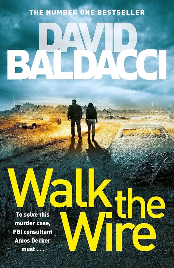Walk the Wire 9781509874545