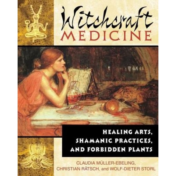 Witchcraft Medicine 9780892819713