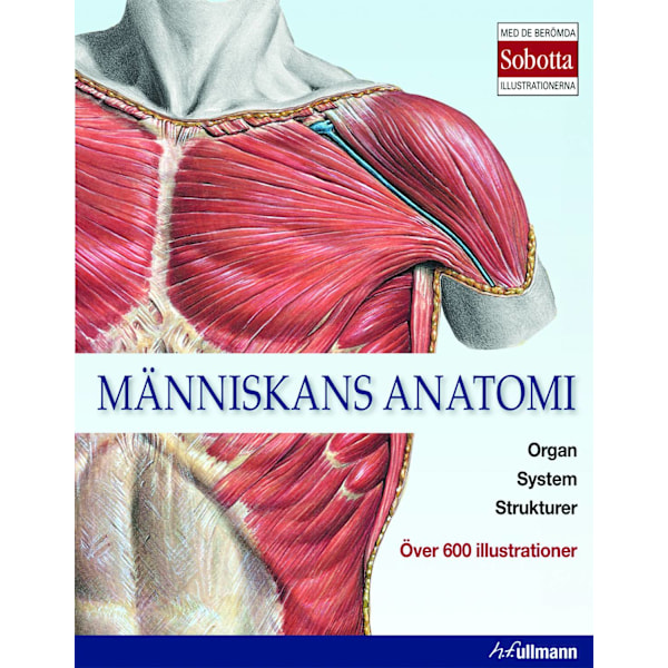 Människans anatomi 9783848009046