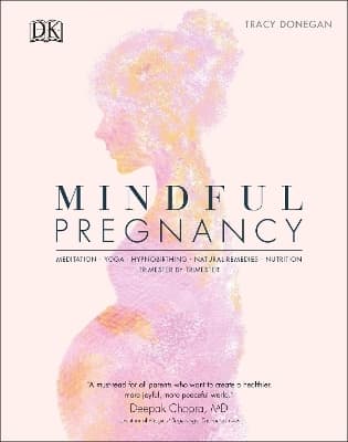 Mindful Pregnancy 9780241410516