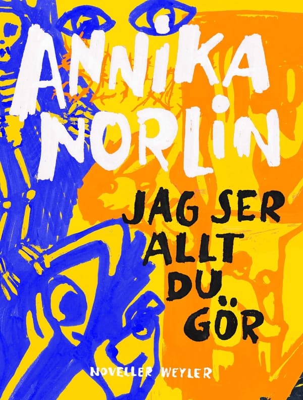 Jag ser allt du gör 9789127173163