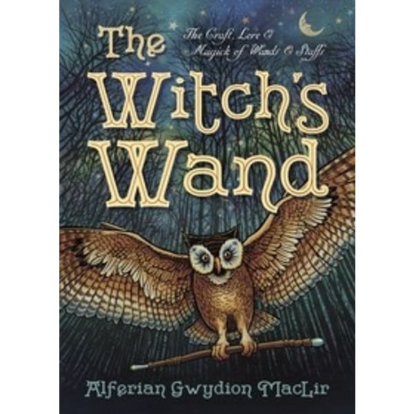 Witchs wand 9780738741956