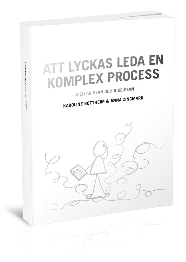 Att lyckas leda en komplex process - mellan plan 9789151907659