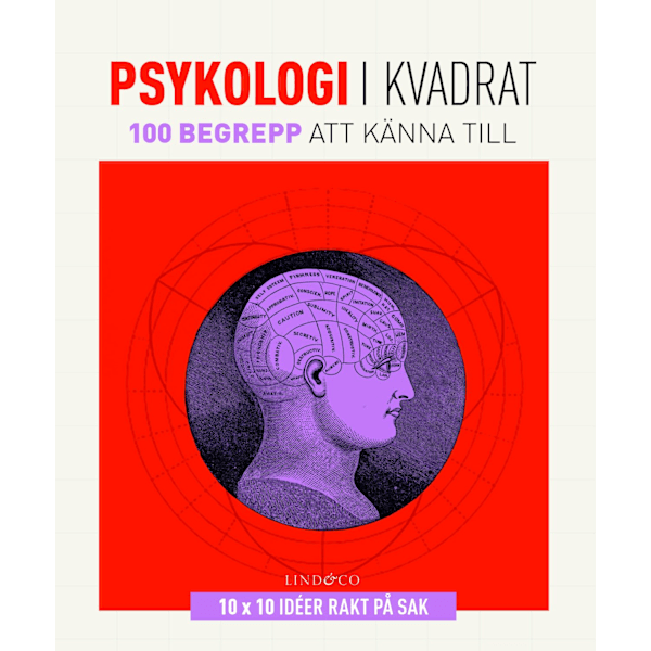 Psykologi i kvadrat : 100 begrepp att känna till 9789174616866