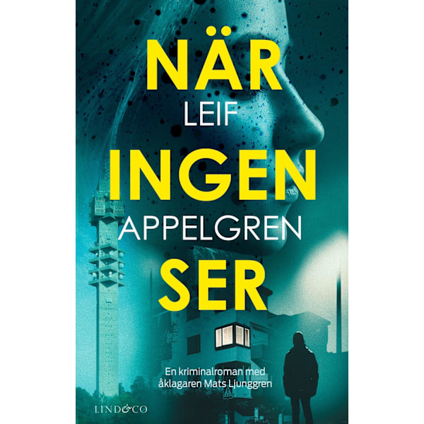 När ingen ser 9789180532143