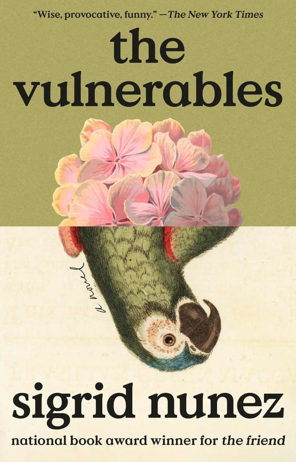 The Vulnerables: A Novel 9780593715529