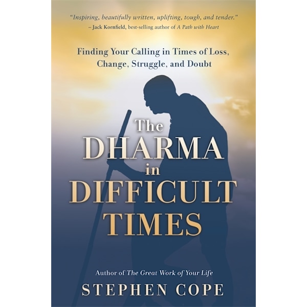 The Dharma in Difficult Times 9781788173209