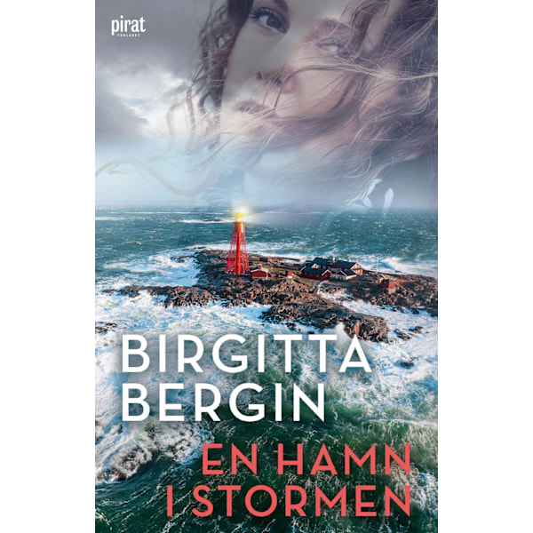 En hamn i stormen 9789164208828