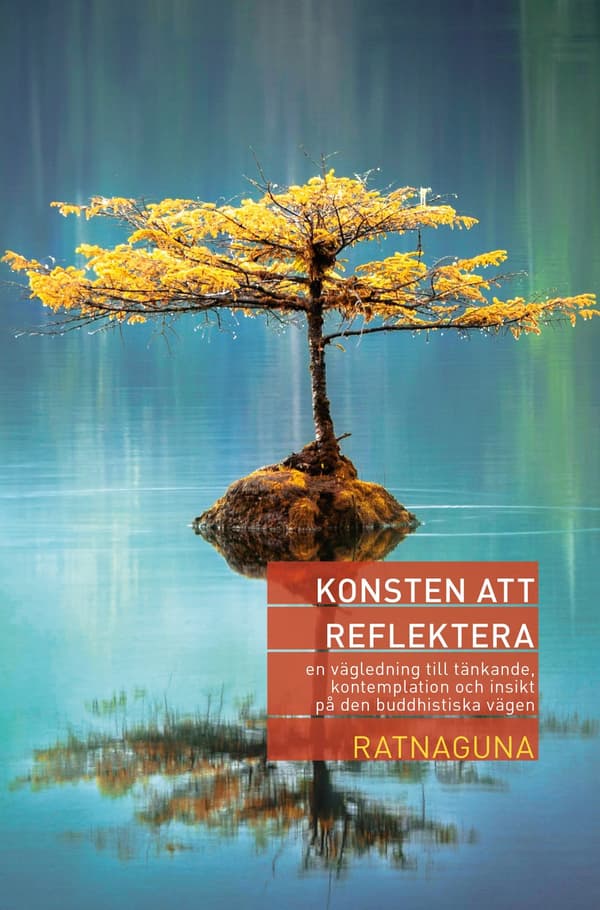 Konsten att reflektera 9789189208520