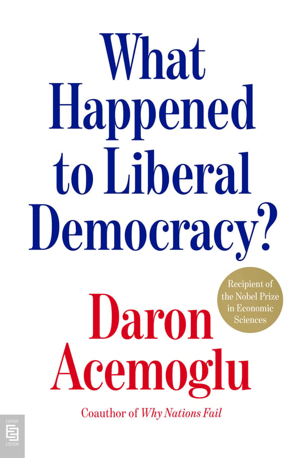 What Happened to Liberal Democracy? 9798217186587