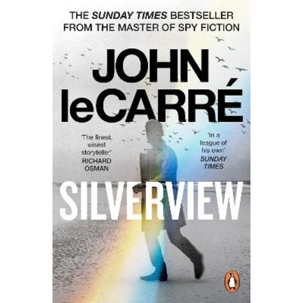 Silverview 9780241994535