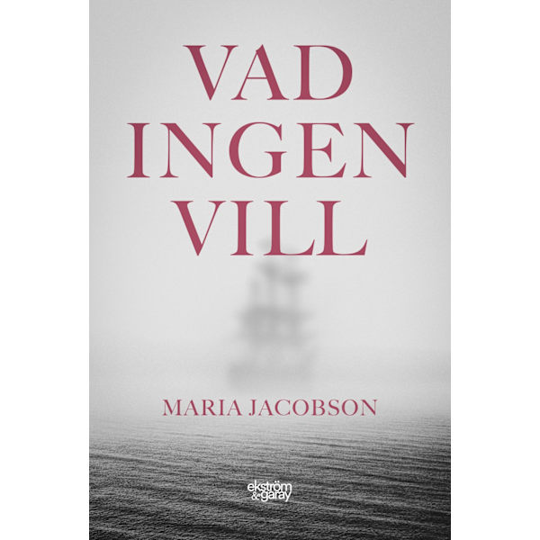 Vad ingen vill 9789189474796
