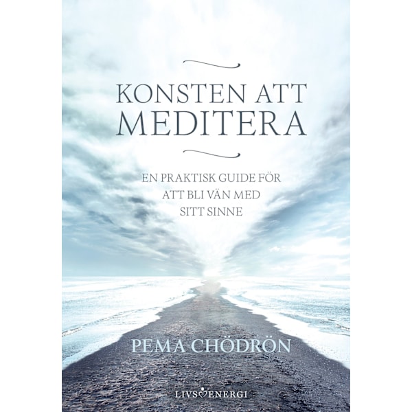 Konsten att meditera 9789188633286