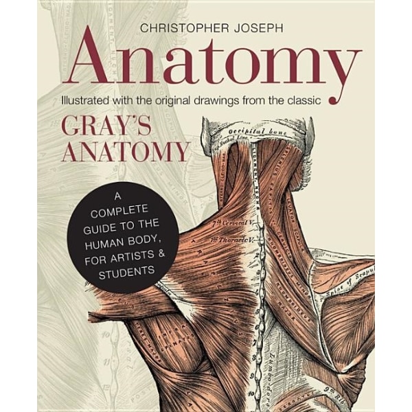 Anatomy 9781782401278