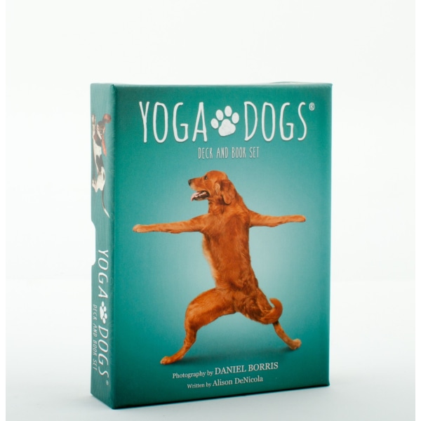 Yoga Dogs Deck & Book Set 9781572818750