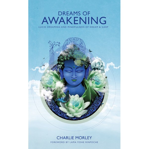 Dreams of awakening 9781781802021