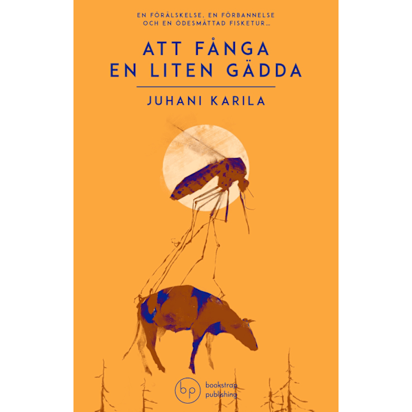 Att fånga en liten gädda 9789189302112