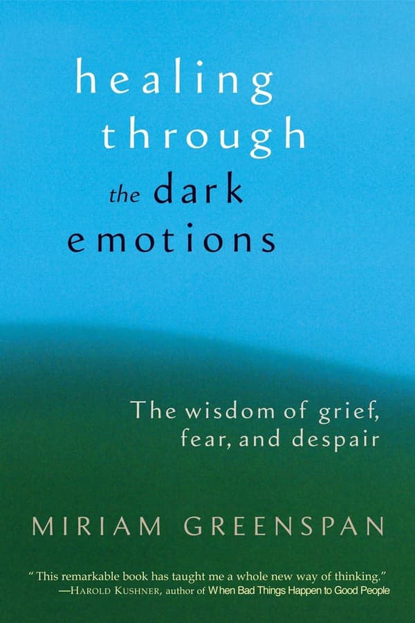 Healing through the dark emotions 9781590301012
