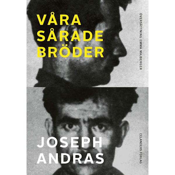 Våra sårade bröder 9789187393723