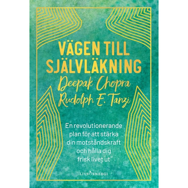 Vägen till självläkning 9789188633651