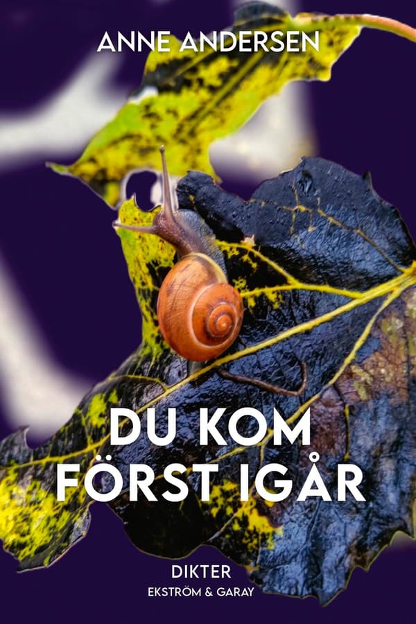 Du kom först igår 9789189991460
