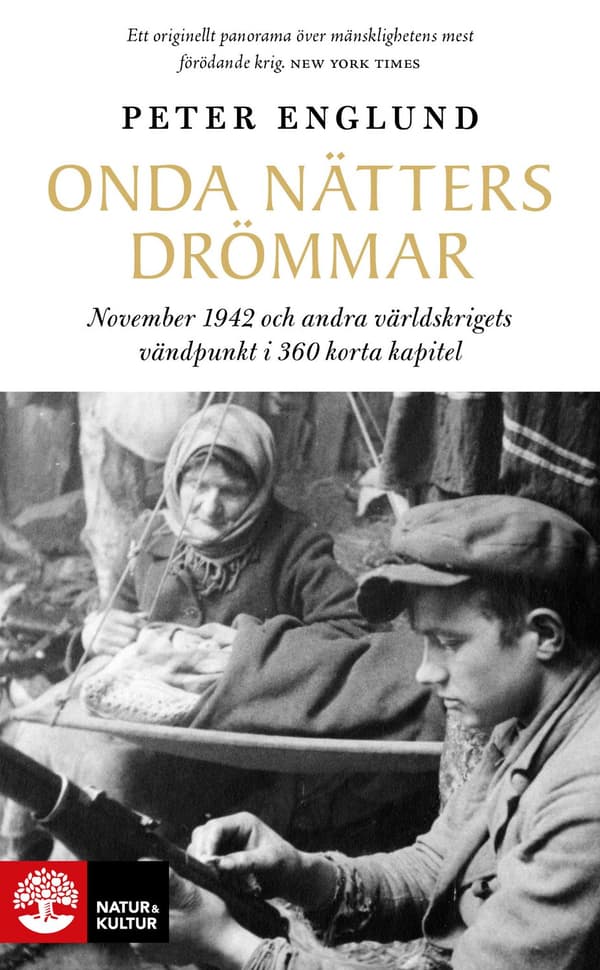 Onda nätters drömmar 9789127186668