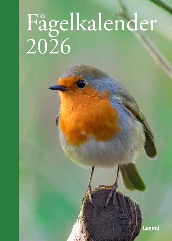 Fågelkalender 2026 9788776390211