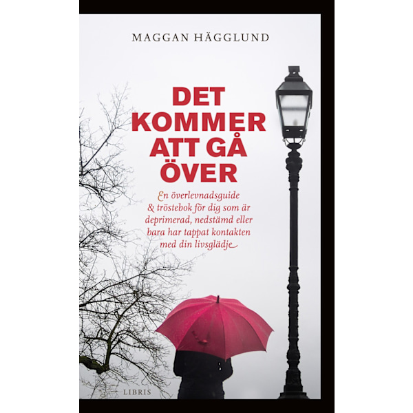 Det kommer att gå över 9789173875493