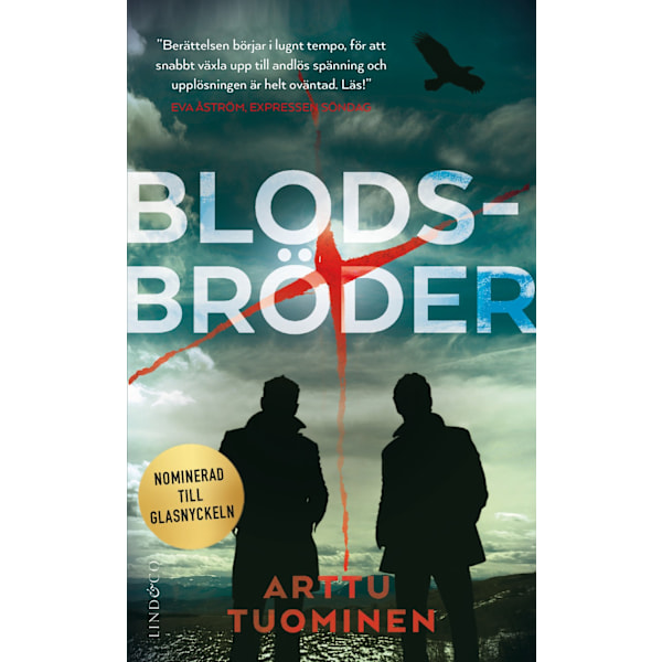 Blodsbröder 9789180184380