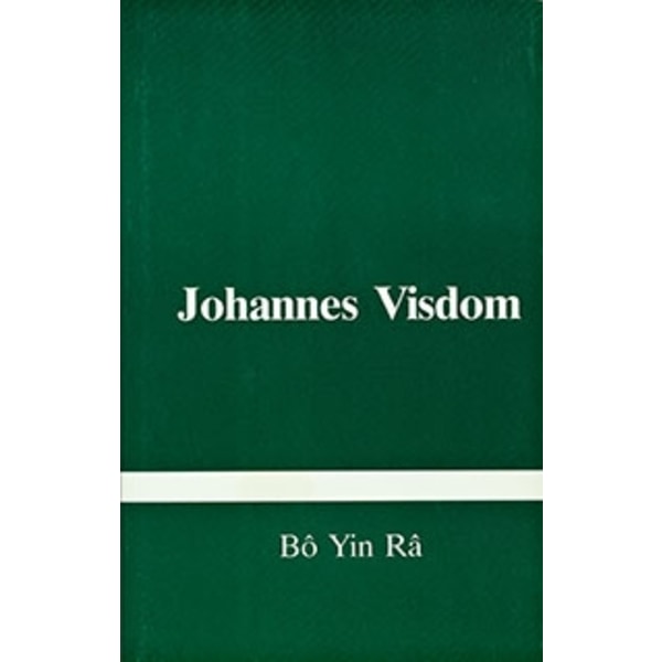 Johannes visdom 9789185154852