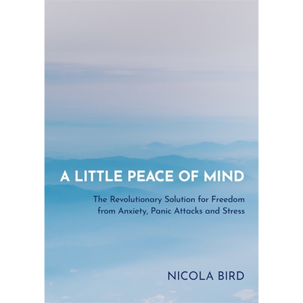 A Little Peace of Mind 9781788173049