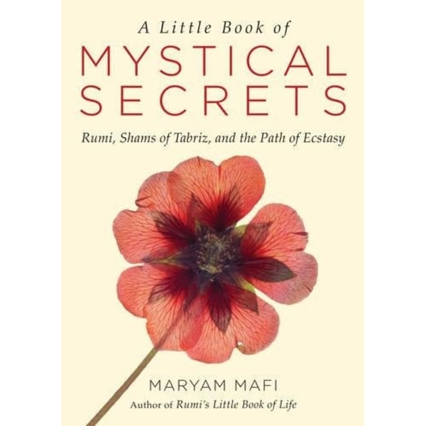 Little book of mystical secrets 9781571747457