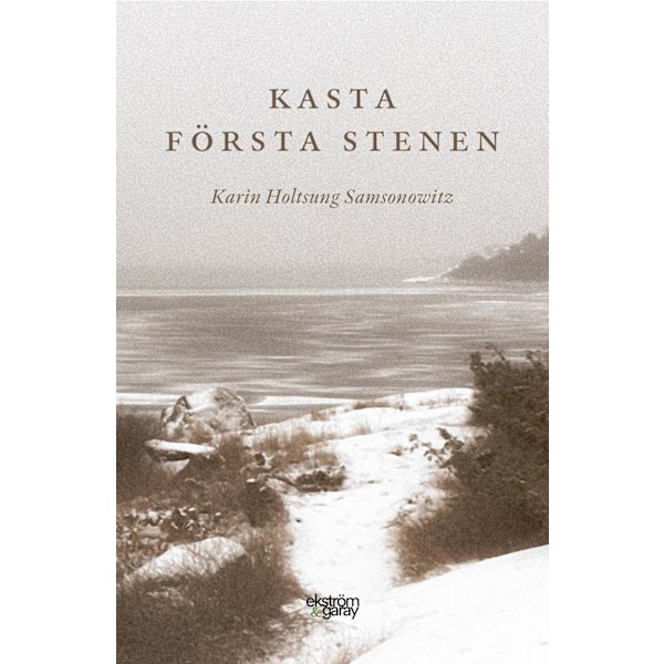 Kasta första stenen 9789189308879