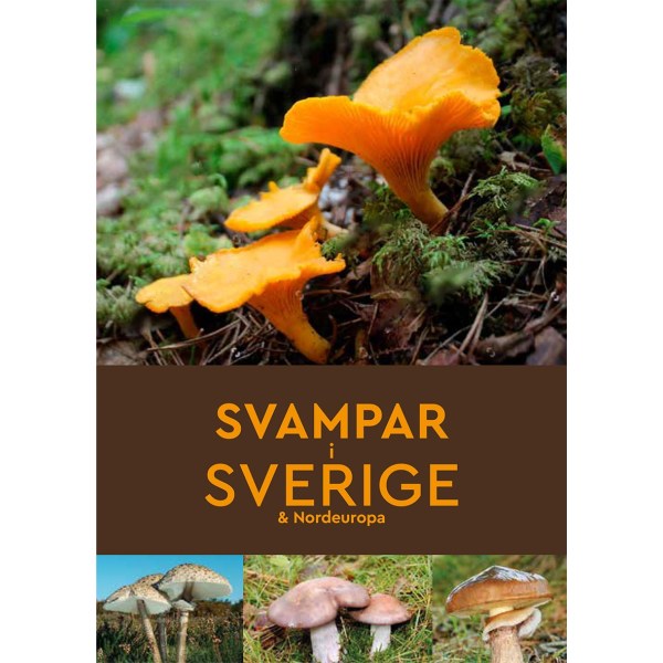 Svampar i Sverige & Nordeuropa 9789180372275