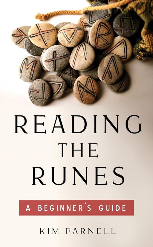 Reading The Runes : A Beginner's Guide 9781571747693