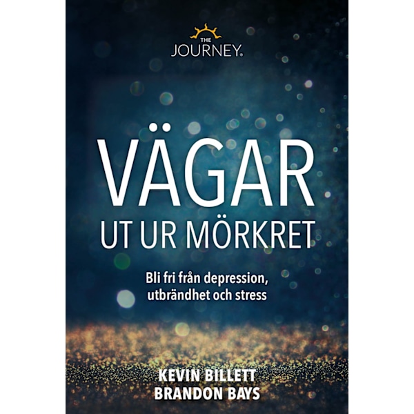 Vägar ut ur mörkret 9789187512834