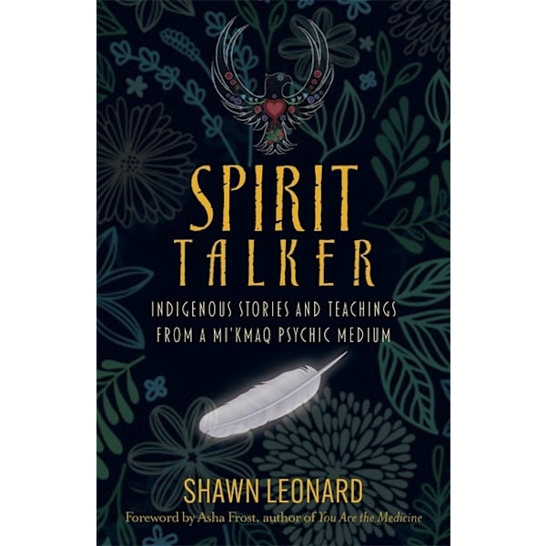 Spirit Talker 9781788178662